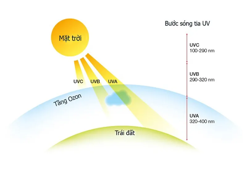 Các loại tia UV – Tác hại và cách chống tia UV hiệu quả