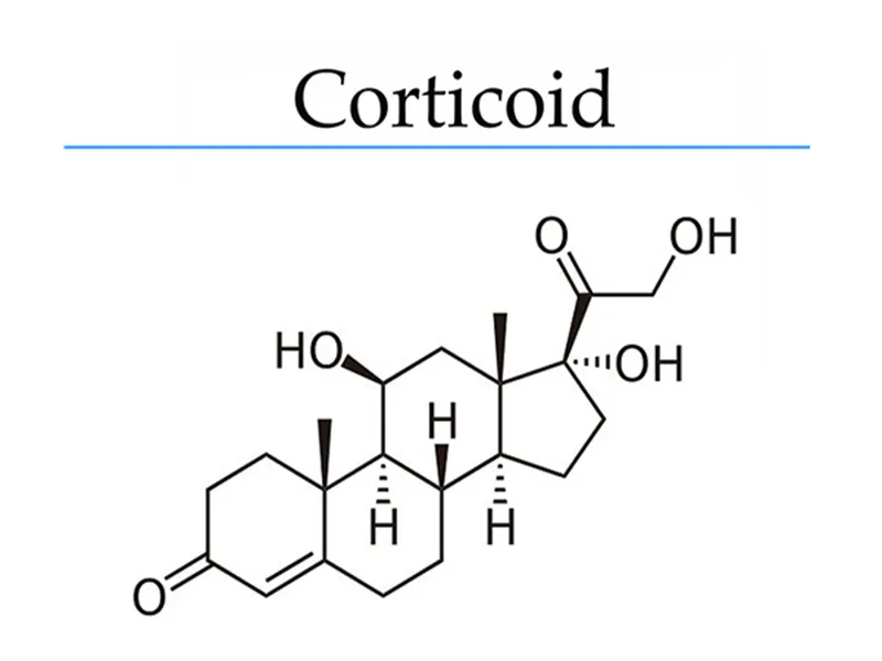 Corticoid có trong thuốc nào? Bị nhiễm Corticoid thì phải làm sao