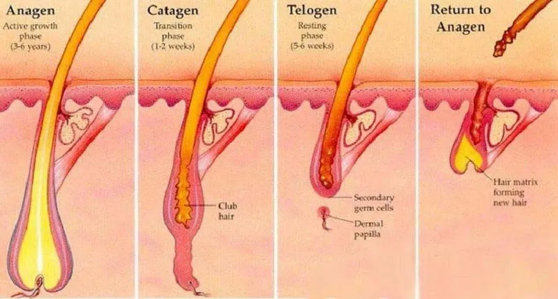 Điểm qua công nghệ triệt lông mới nhất, tốt nhất hiện nay